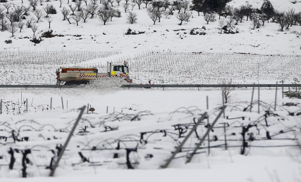 Efectos de la nevada en Requena