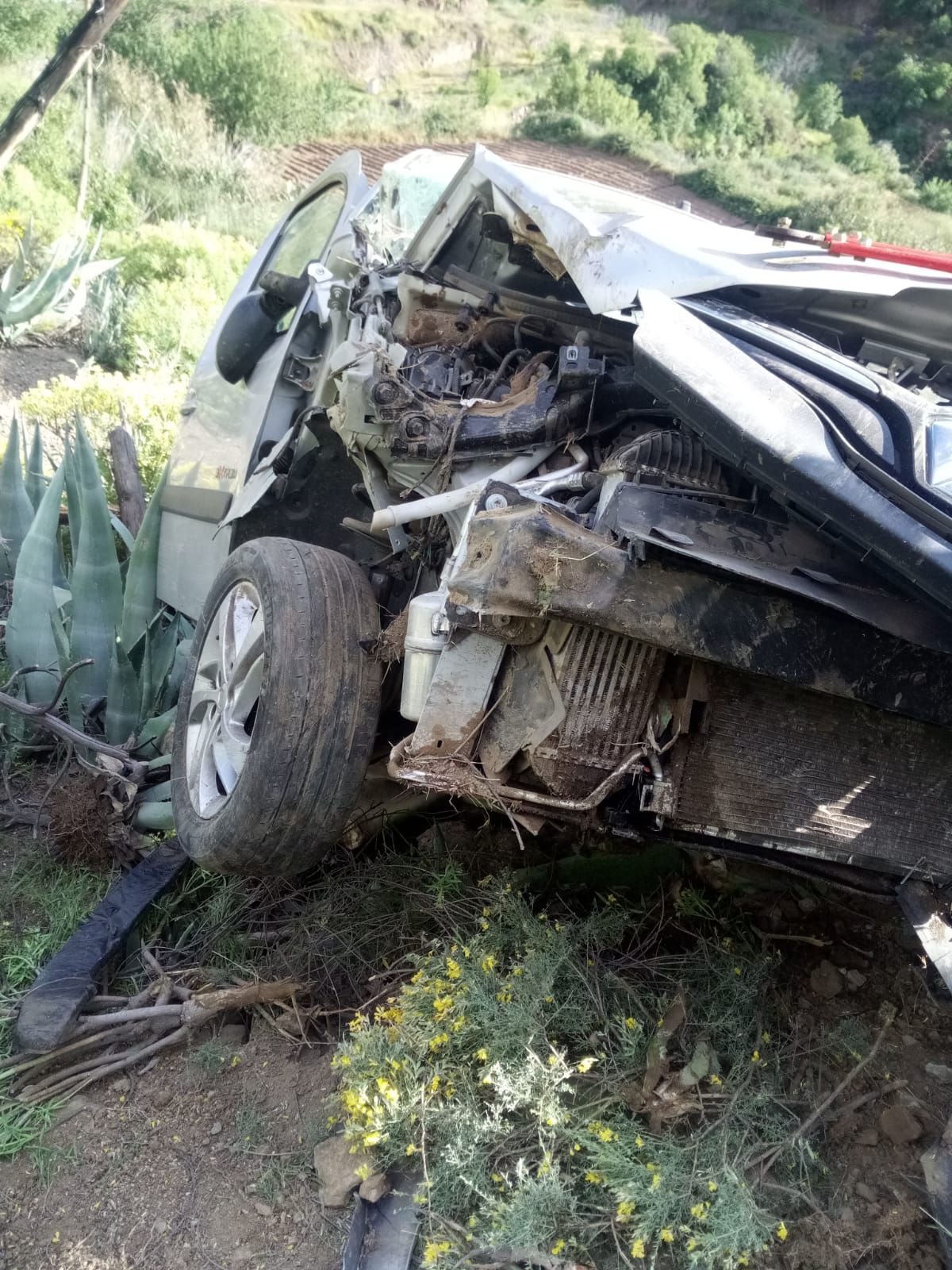 Se queda dormido y se cae por una ladera en Tejeda