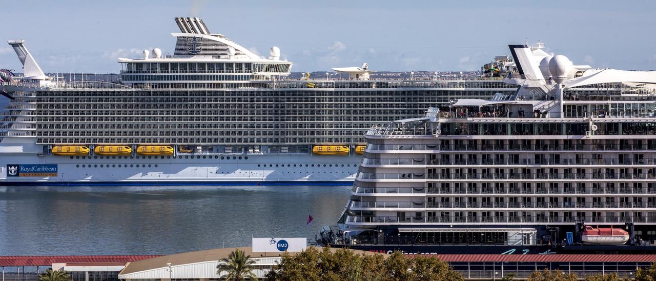 Cruceros atracados en el puerto de Palma este lunes.