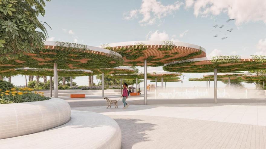Torrevieja adjudica la redacción de proyecto para el aparcamiento subterráneo y la reurbanización de la plaza de Encarnación Puchol de La Mata