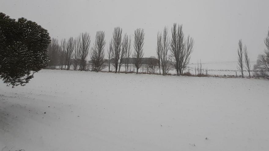 Nieve en la ribera de Olmo de la Guareña.