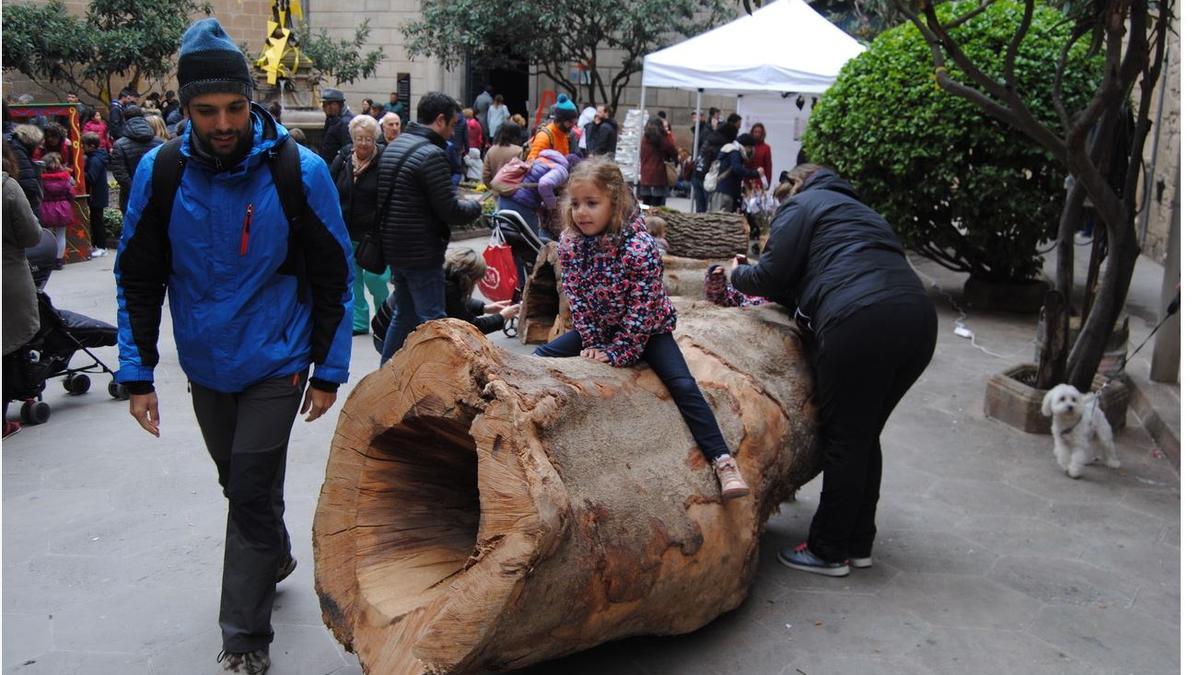 Una edició de la Fira del Tió