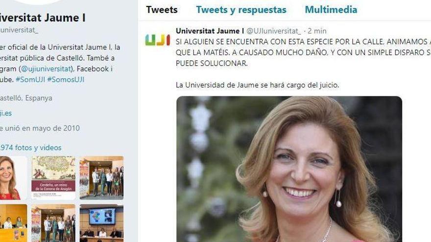 Hackean el Twitter de la UJI para amenazar de muerte a la alcaldesa
