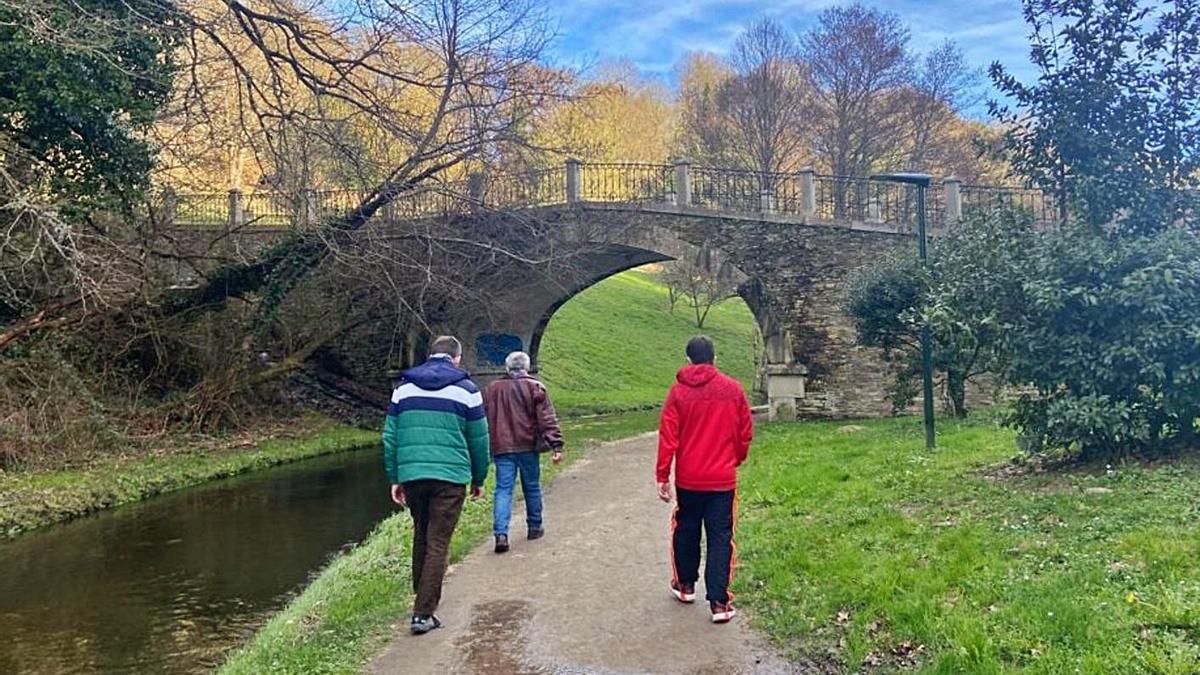 Usuarios da asociación Alume camiñan por unha contorna rural da provincia de Lugo.