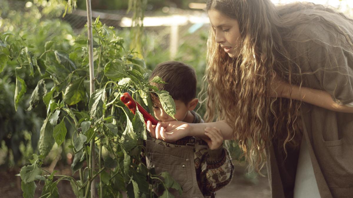 Albi Canarias, alimentación con calidad, salud y compromiso Albi Canarias, alimentación con calidad, salud y compromiso