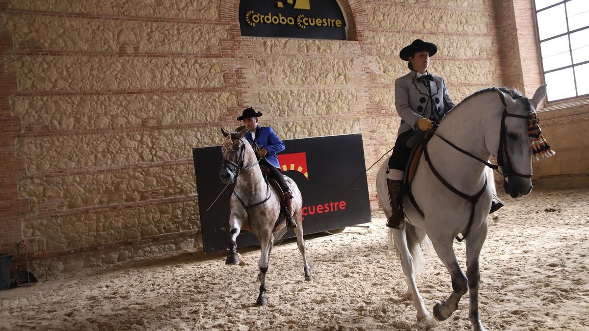 Ejemplares participantes en Cabalcor 2021, celebrado en Caballerizas.