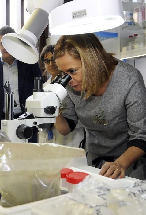 El laboratorio arqueológico de la Casona de Liñare