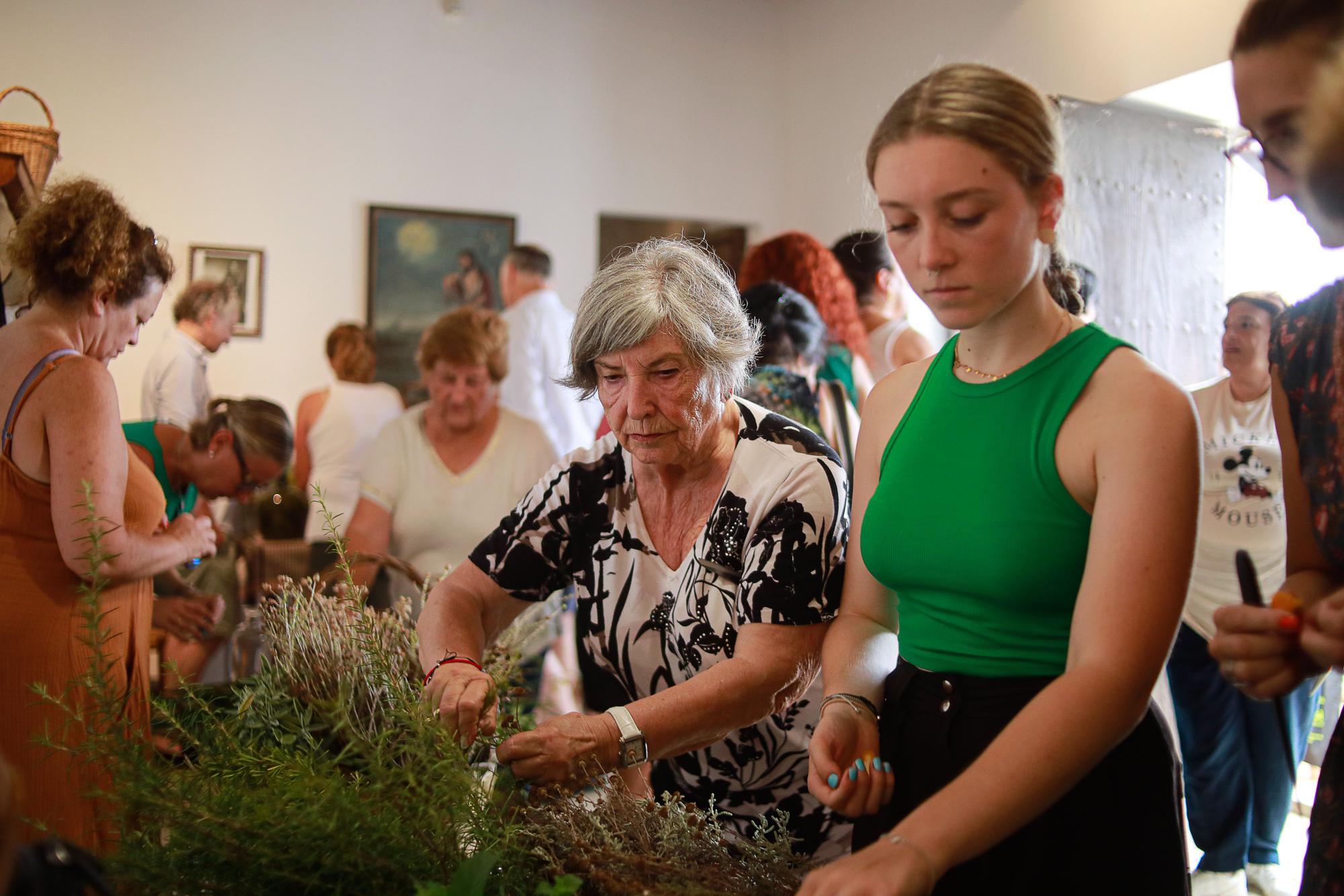 Galería de imágenes: Taller de hierbas ibicencas de Can Andreu des Trull