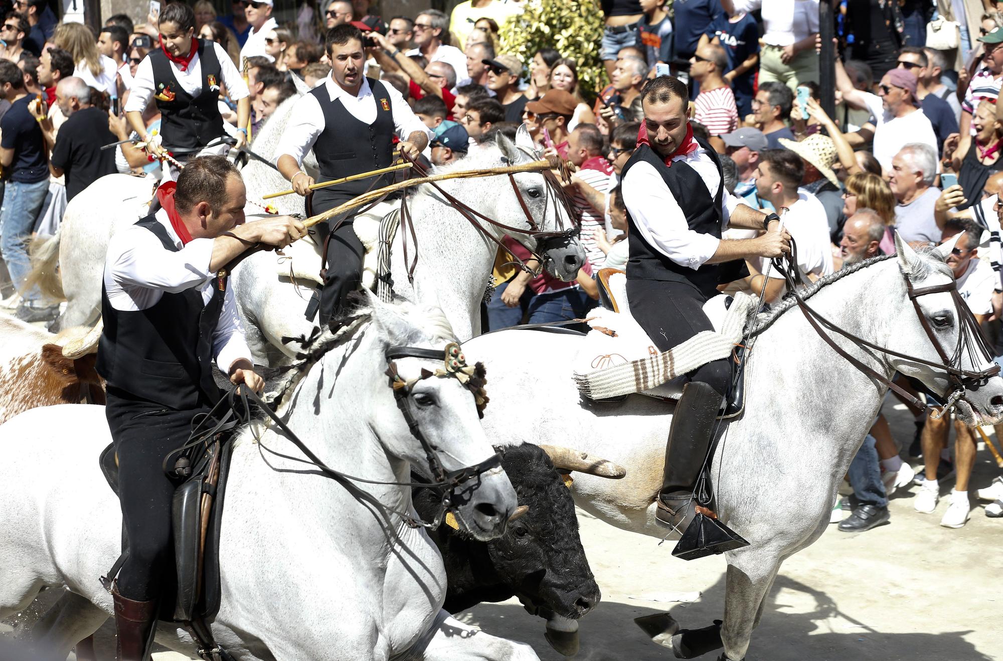 Las fotos de la última Entrada de Toros y Caballos de Segorbe