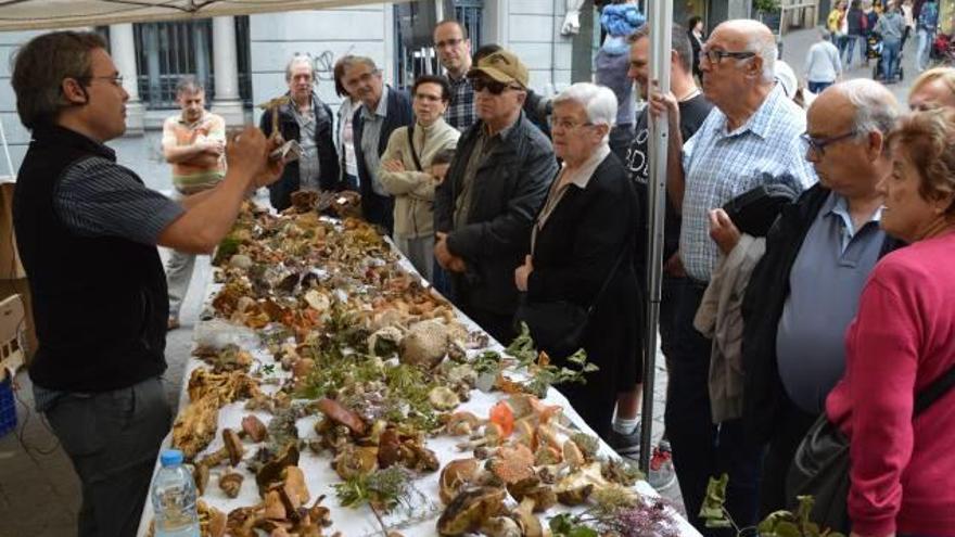 L&#039;ecòleg Daniel Siscart en la xerrada taller sobre bolets a la plaça de les Fonts, ahir