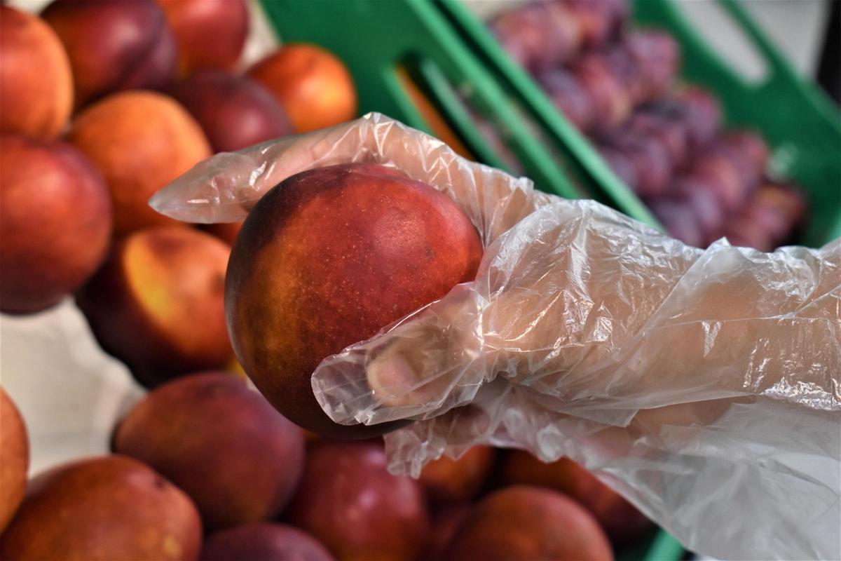 El viaje redondo de la fruta de hueso extremeña El viaje redondo de la fruta de hueso extremeña