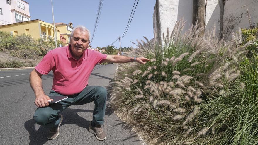 Falta de limpieza en las calles del barrio de El Fondillo en Las Palmas de Gran Canaria