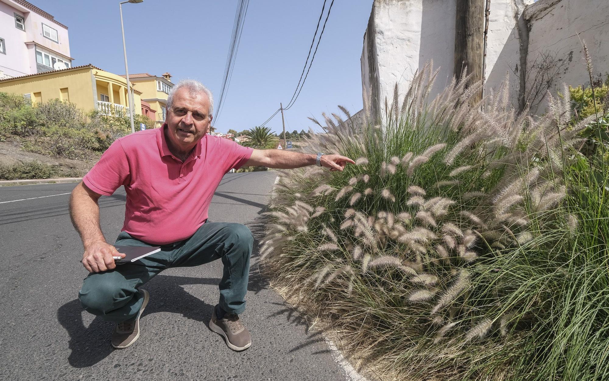 Falta de limpieza en las calles del barrio de El Fondillo en Las Palmas de Gran Canaria