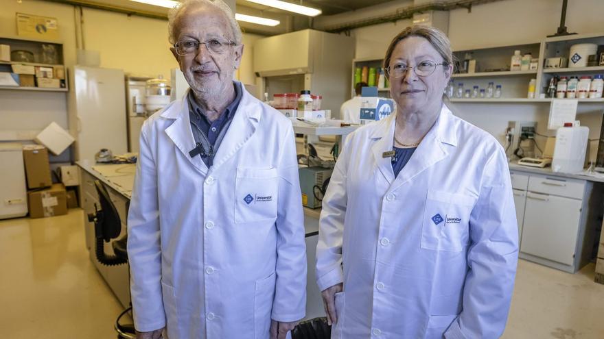 Félix Grases y su equipo patentan un tratamiento contra la gota