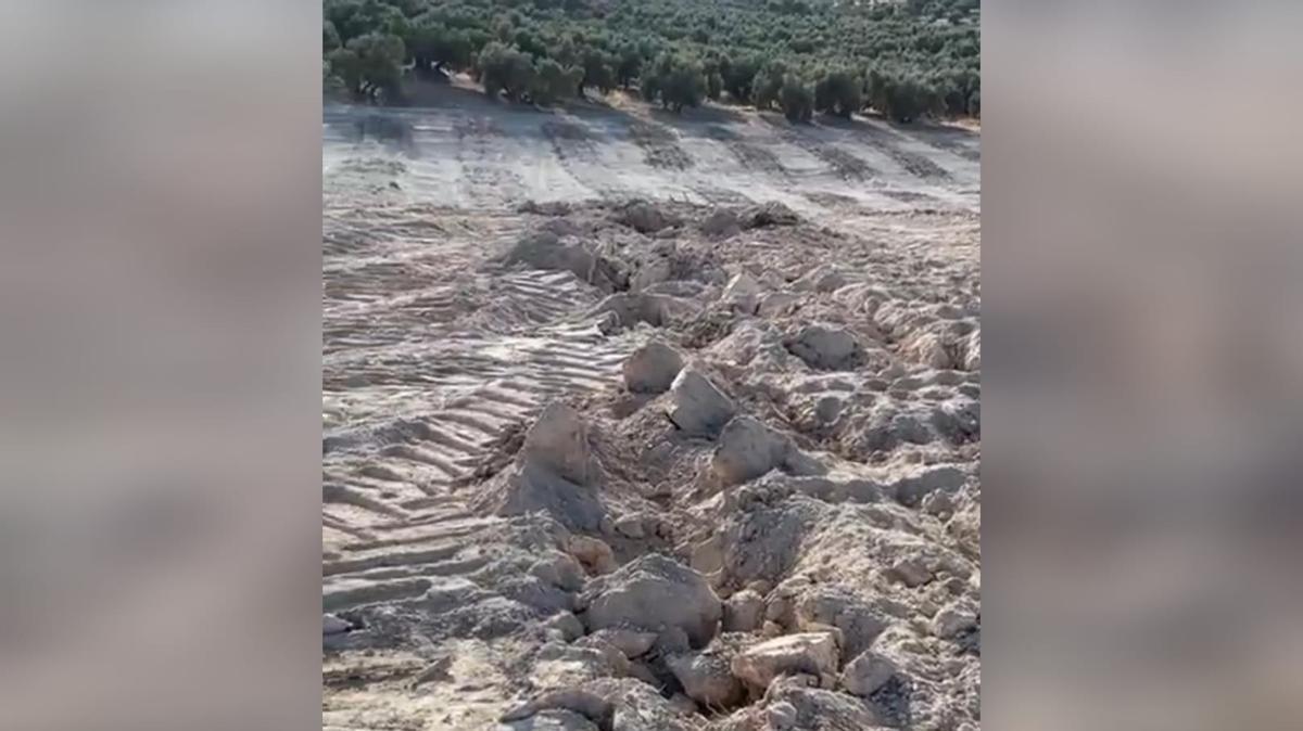 Restos aflorados sobre el terreno tras el movimiento de tierras.