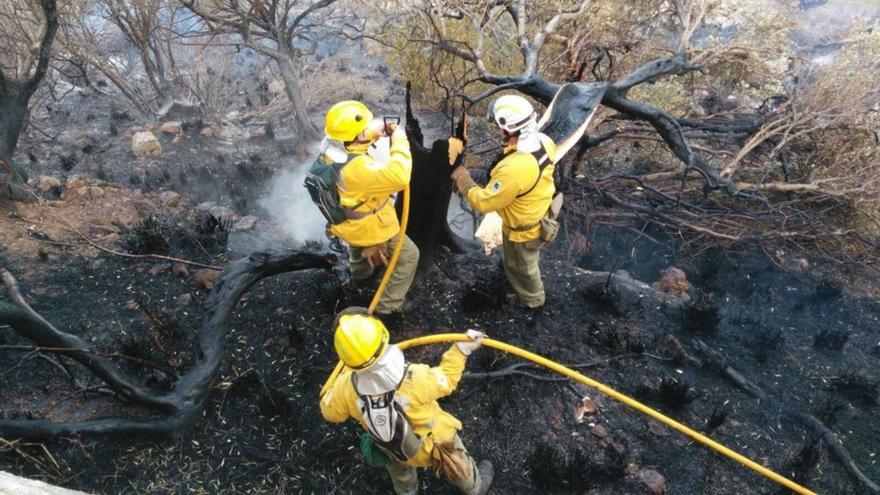 La Fiscalía pide cárcel para tres acusados de provocar un incendio forestal en Escorca