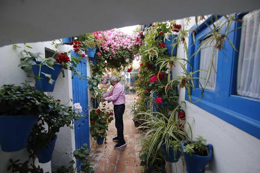 Los patios de Córdoba (1)