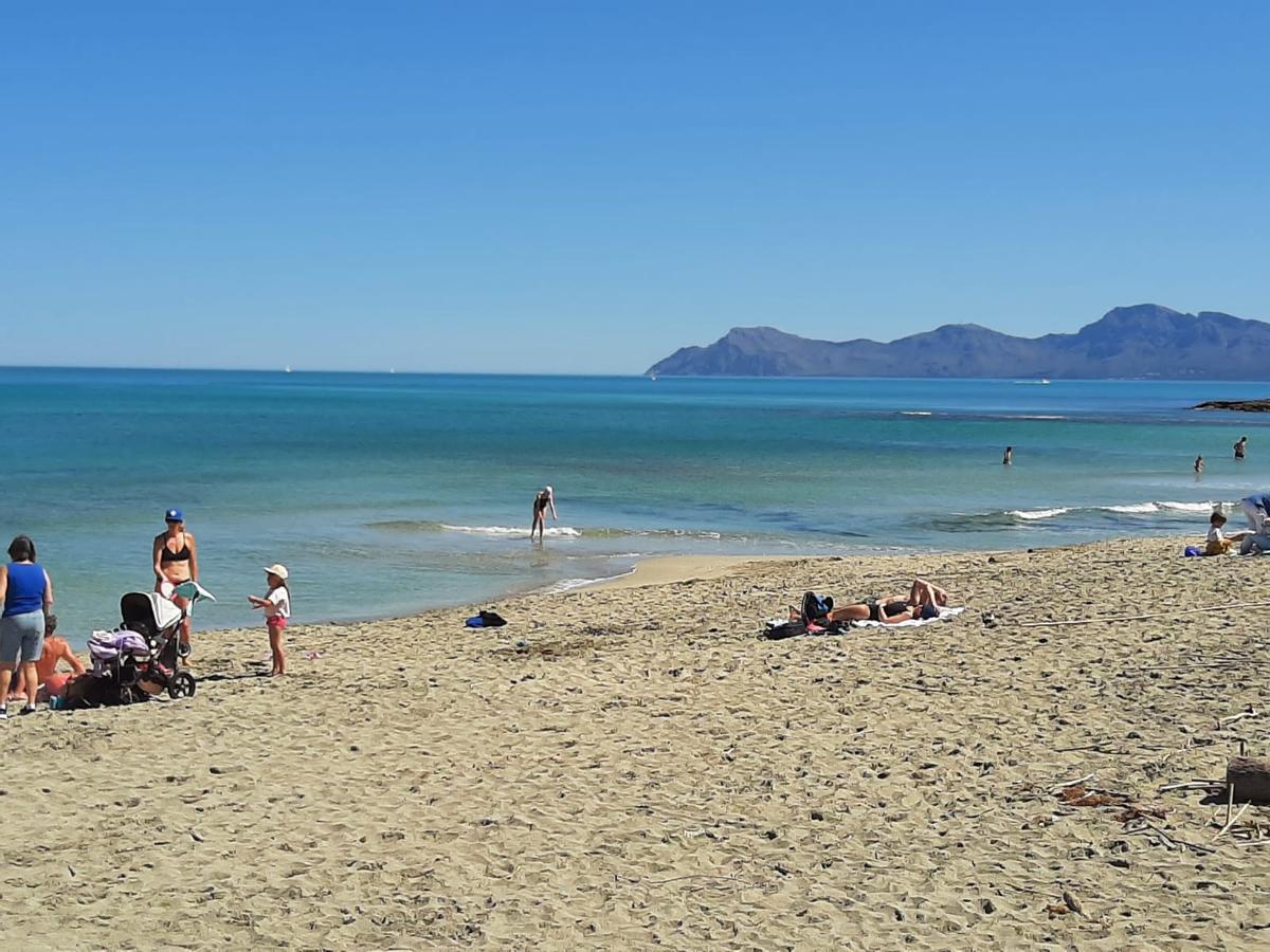 FOTOS | Mallorca se adelanta al verano: Son Bauló, en Can Picafort, se llena de bañistas