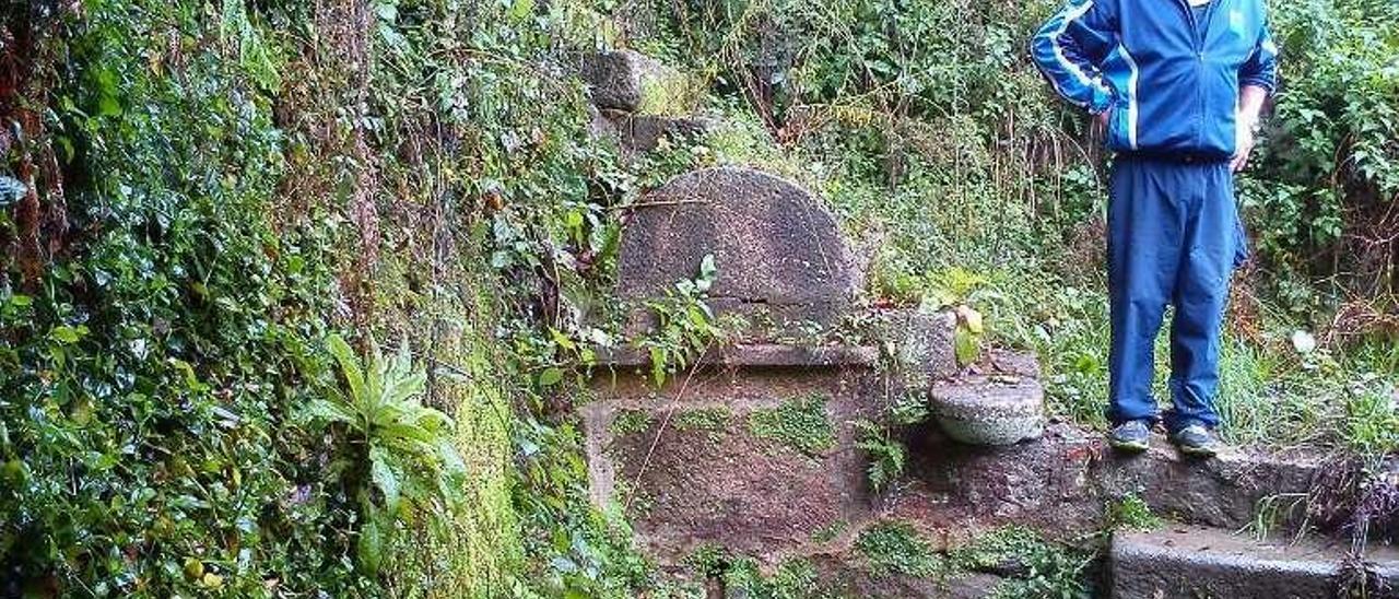 La fuente, llena de maleza. // Gonzalo Núñez