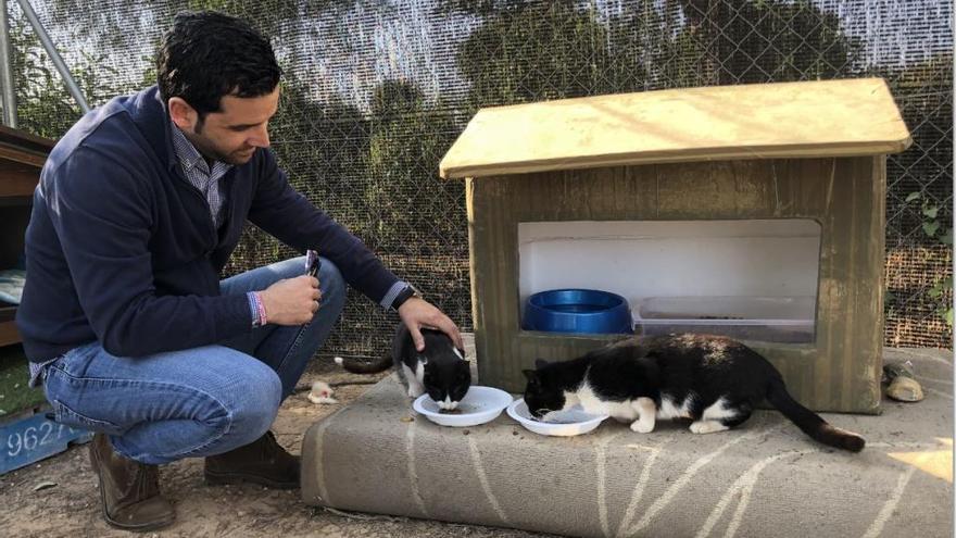 El PSOE de Paterna propone un cementerio municipal para animales