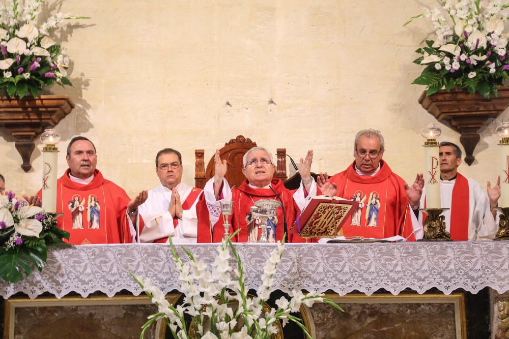 Pájaro Oriol en Orihuela