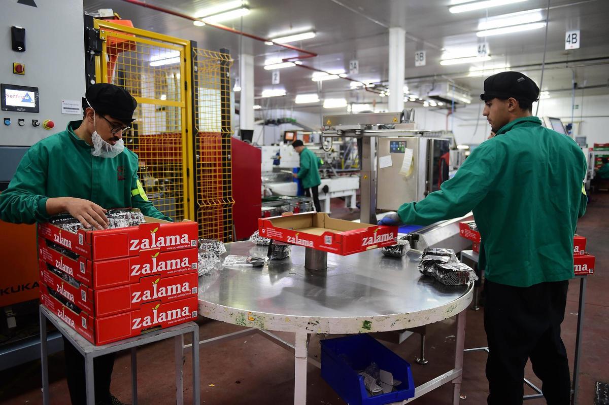 Trabajos de empaquetado en la Agrupación de Cooperativas Valle del Jerte.