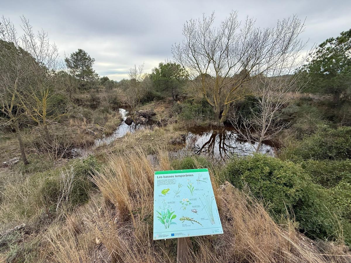 EN IMATGES | Les Basses del Terrisser de Figueres, en plena forma després de les pluges