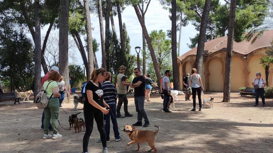 Los talleres gratuitos de educación canina reúnen en Carlet a una veintena de propietarios