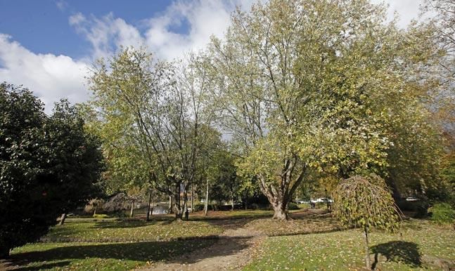 El Parque de Castrelos se muda con las estaciones