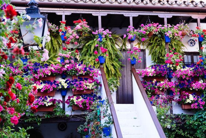 Festival Patios de Córdoba