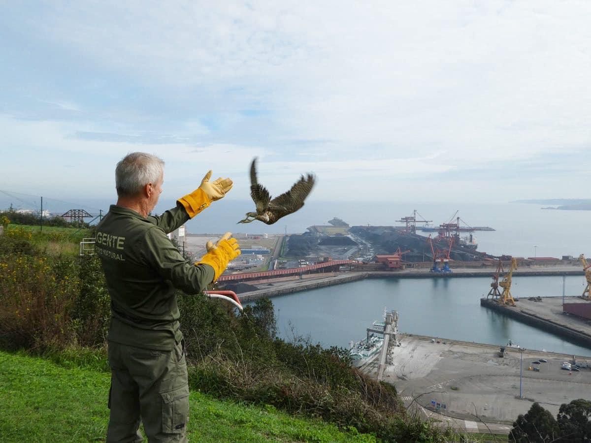 Los "pacientes" del HUCA de los animales de Asturias