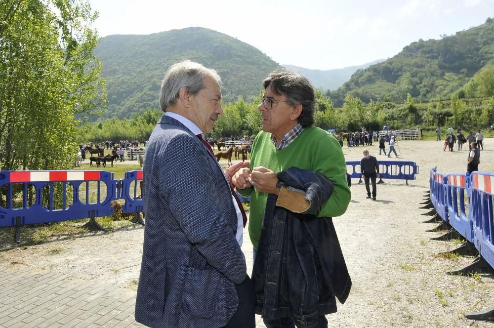 Feria de La Ascensión en Olloniego