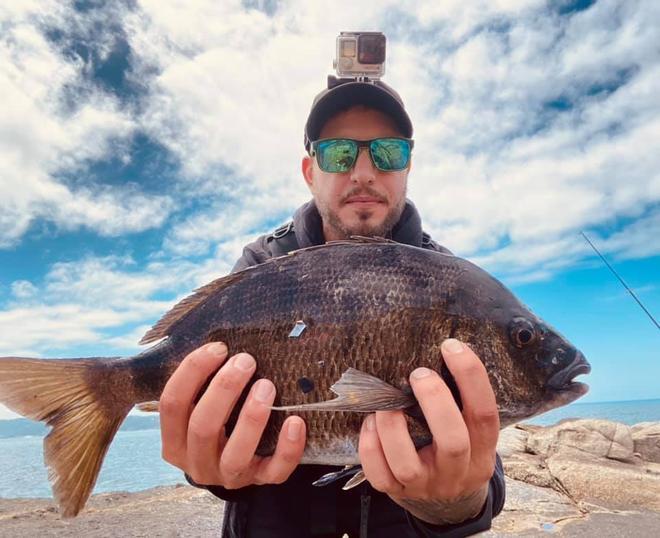 La "gira" de la pesca del sargo