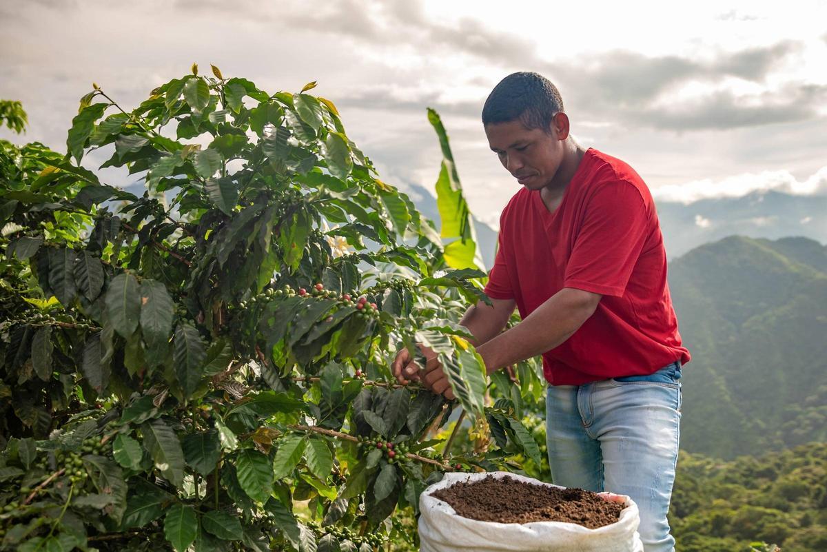És un comerç social i ecològic.