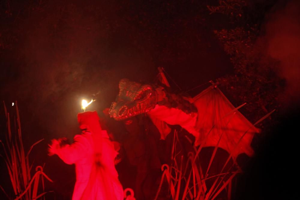 Noches mágicas en el Botánico de Gijón