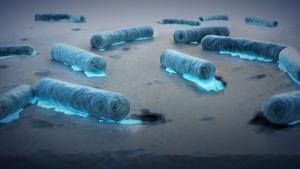 Las bacterias dotadas del motivo M5 en su enzima PETasa pueden alimentarse de plástico.