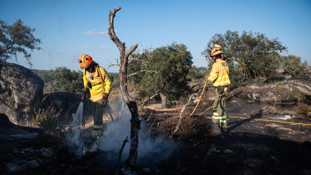 Video | Así trabajaron los efectivos en el incendio de Arroyo de la Luz