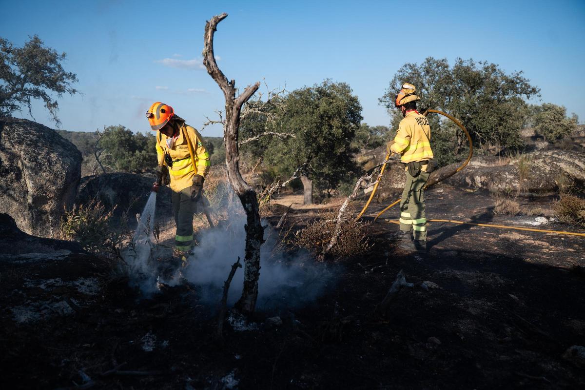 Fotogalería | Las imágenes del incendio de Las Viñas, en Arroyo de la Luz