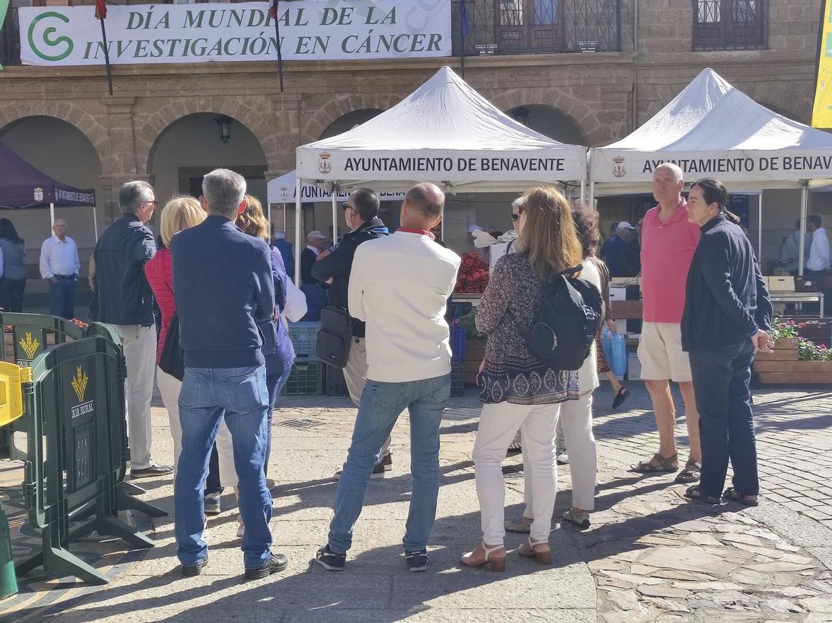 Un grupo de turistas en la plaza Mayor durante la pasada Feria del Pimiento.