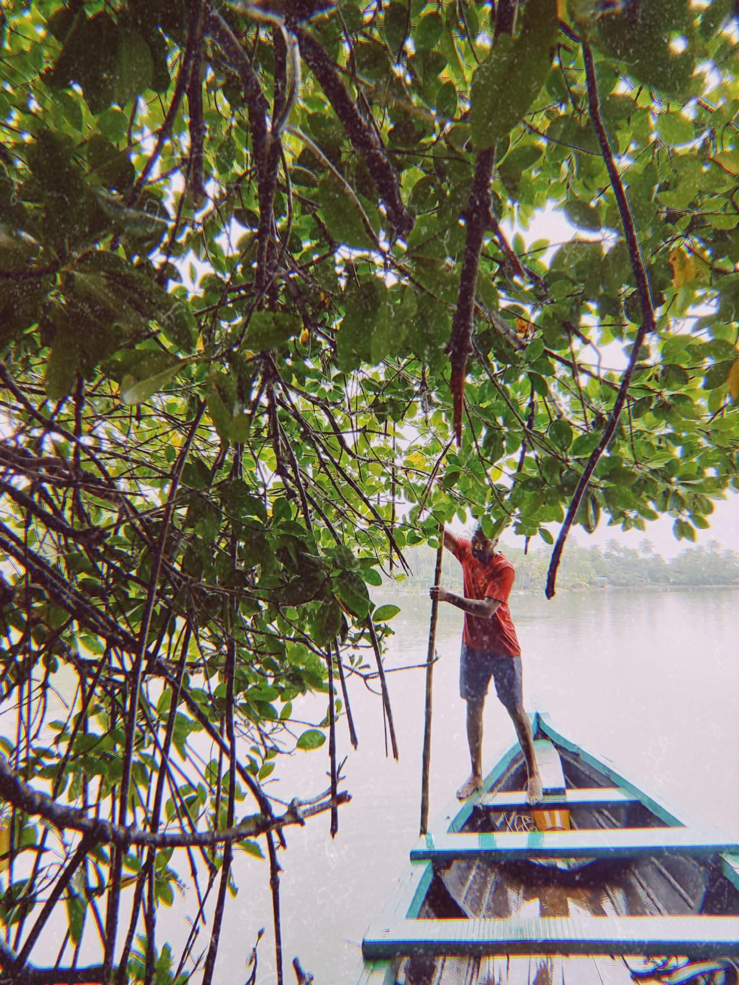 En el norte se encuentran marismas más salvajes y muy apreciadas por los surfistas