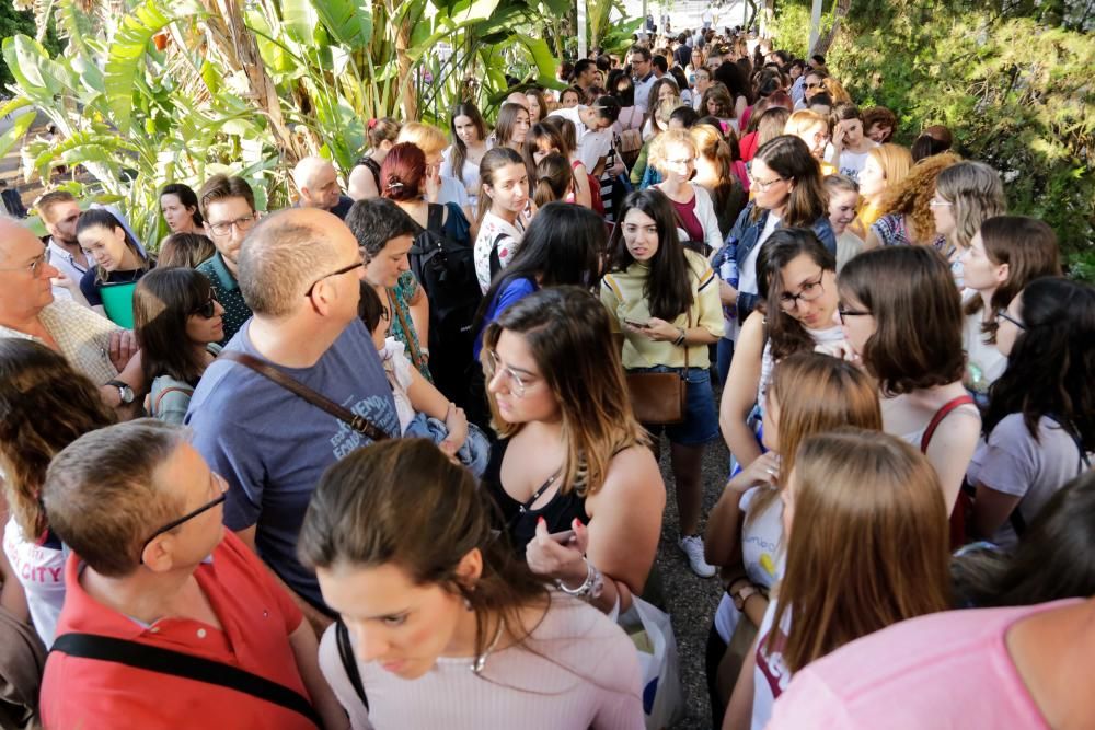 Oposiciones a Educación Primaria en la Región