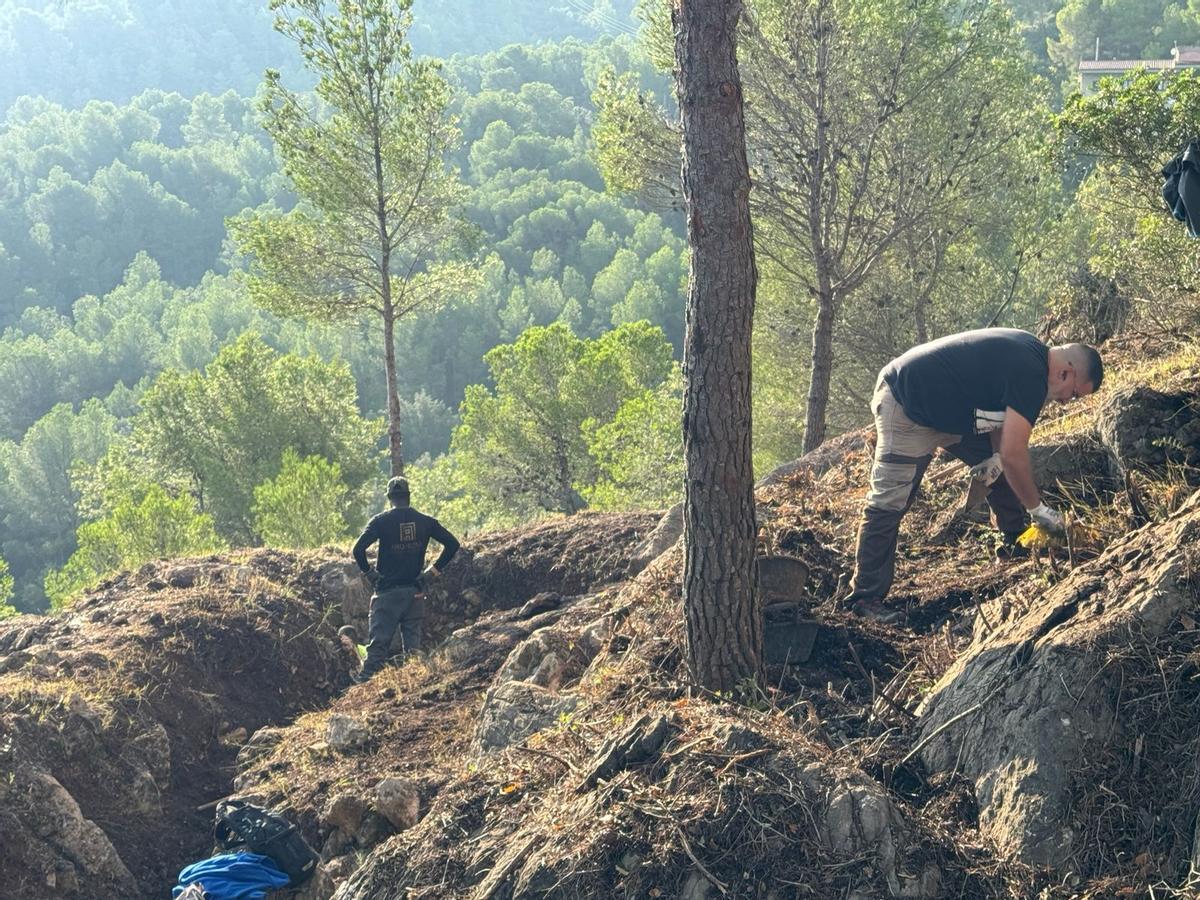 Unos operarios en plenas tareas.