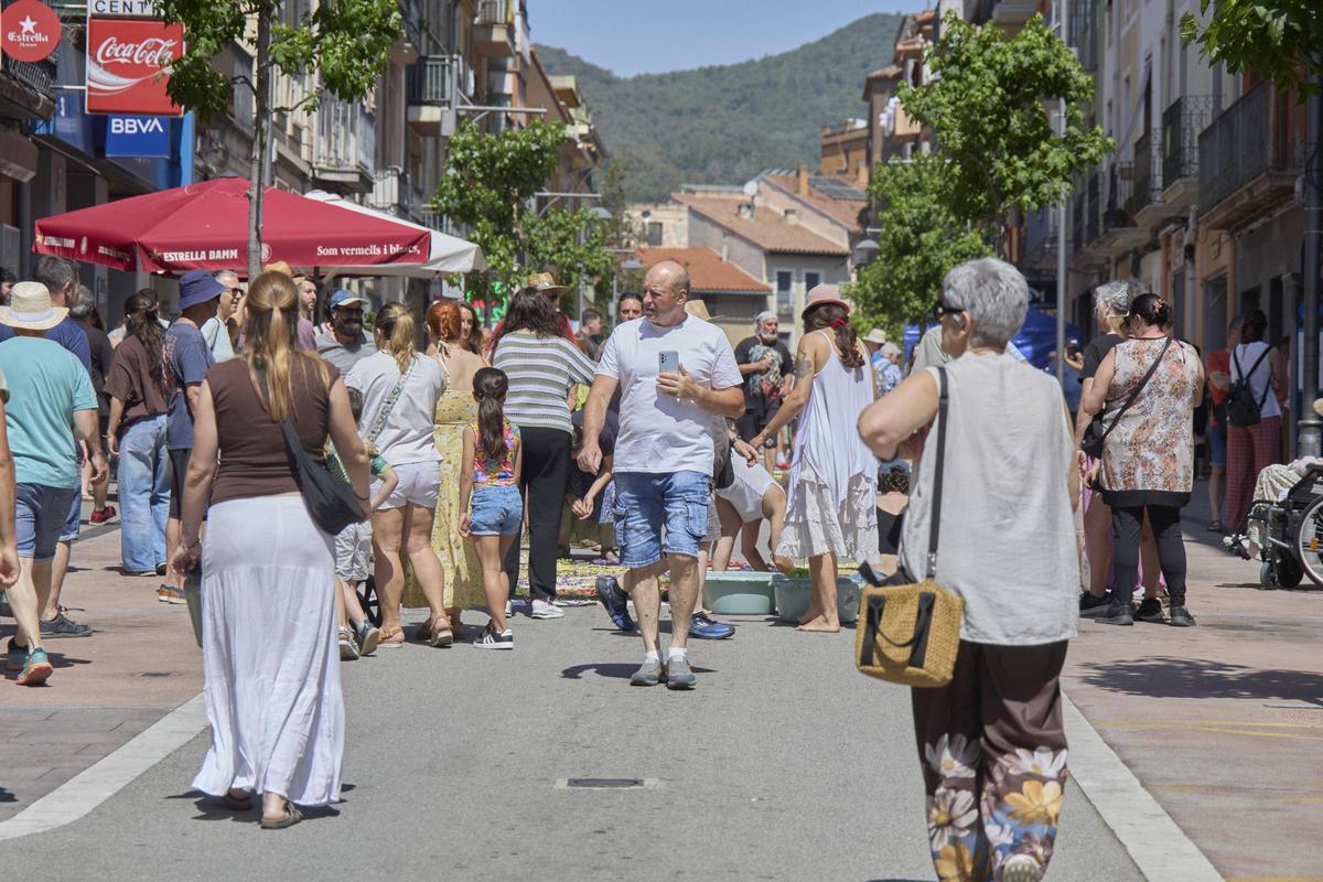 Les catifes d'Arbúcies en imatges