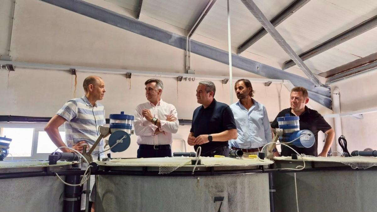 El consejero murciano Joaquín Buendía junto al alcalde de San Pedro del Pinatar y responsables del Imida, durante su visita a la estación acuícola