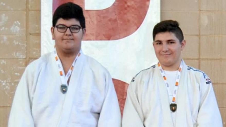 Los judocas de Alzira logran once medallas en los provinciales