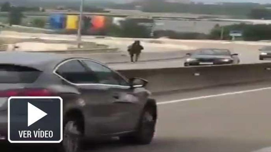 Un caballo desbocado invade una autovía en Barcelona