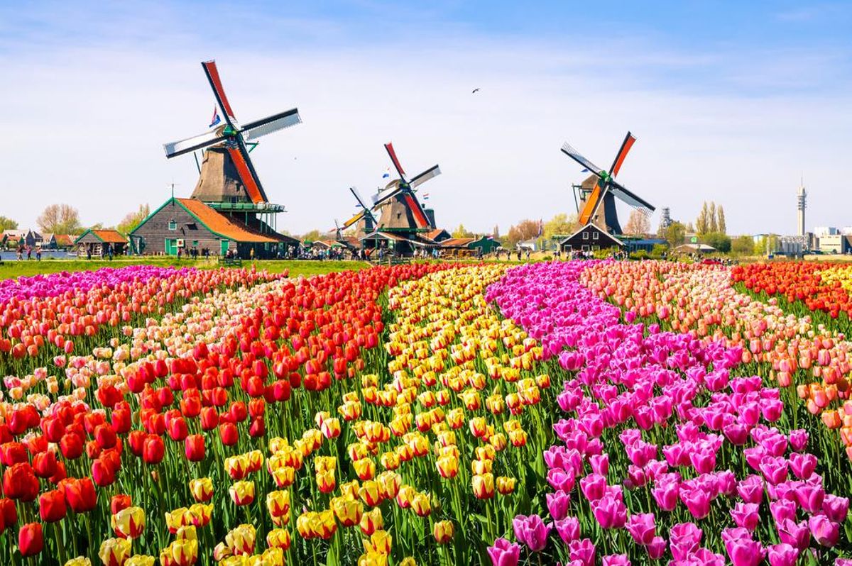 Los jardines del parque Keukenhof.