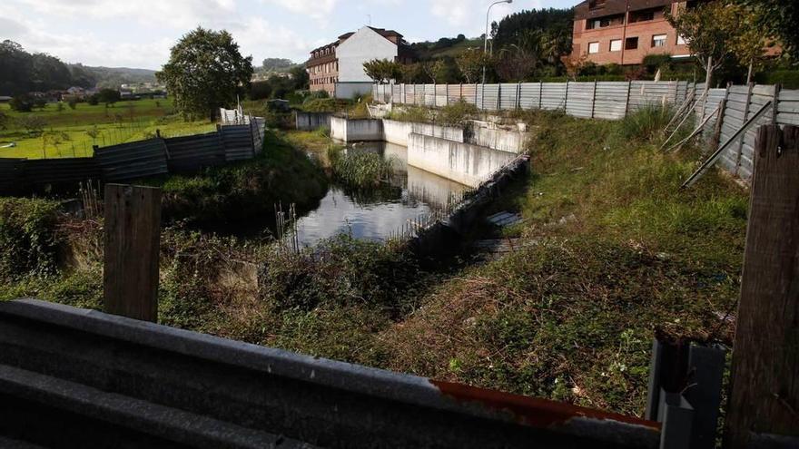 El solar con agua estancada que denuncian los vecinos.