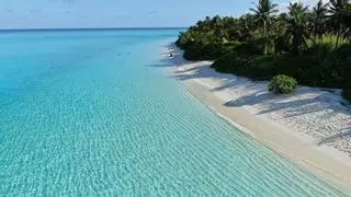 ¿Quieres viajar a Maldivas? Cómo elegir la isla adecuada a tus gustos, según quieras relajarte en sus playas, surfear o ver mantas y delfines en libertad