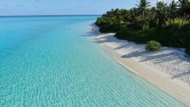 ¿Quieres viajar a Maldivas? Cómo elegir la isla adecuada a tus gustos, según quieras relajarte en sus playas, surfear o ver mantas y delfines en libertad